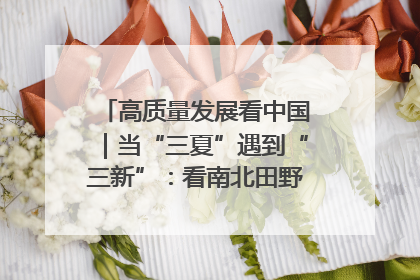 高质量发展看中国｜当“三夏”遇到“三新”：看南北田野里的科技共生记