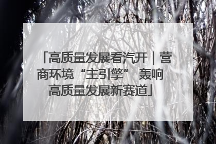 高质量发展看汽开｜营商环境“主引擎” 轰响高质量发展新赛道