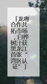 龙粤合作共拓市场，白桦树汁获黑龙江首张“湾区认证”