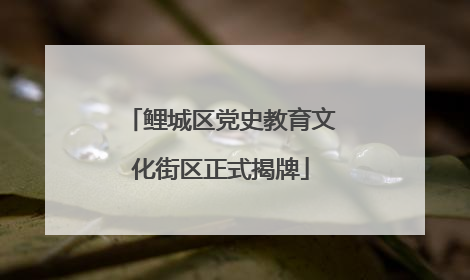 鲤城区党史教育文化街区正式揭牌