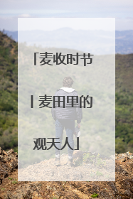 麦收时节丨麦田里的观天人