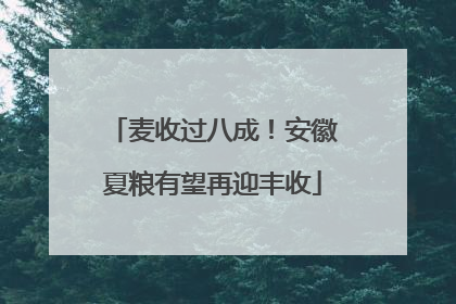 麦收过八成！安徽夏粮有望再迎丰收