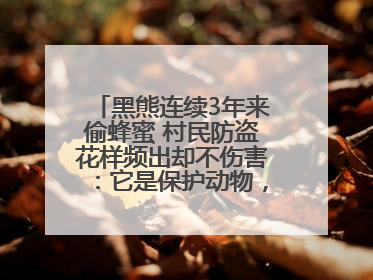 黑熊连续3年来偷蜂蜜 村民防盗花样频出却不伤害：它是保护动物，我有保险兜底