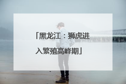 黑龙江：狮虎进入繁殖高峰期