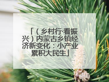 （乡村行·看振兴）内蒙古乡镇经济新变化：小产业累积大民生