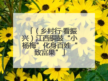 （乡村行·看振兴）江西铜鼓“小杨梅”化身百姓“致富果”