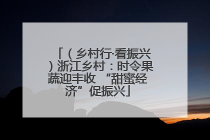 （乡村行·看振兴）浙江乡村：时令果蔬迎丰收 “甜蜜经济”促振兴