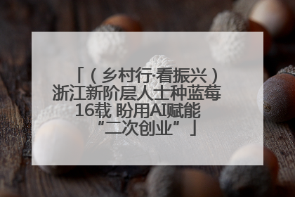（乡村行·看振兴）浙江新阶层人士种蓝莓16载 盼用AI赋能“二次创业”