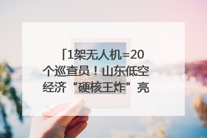 1架无人机=20个巡查员！山东低空经济“硬核王炸”亮相青岛，下一个万亿赛道藏在这里