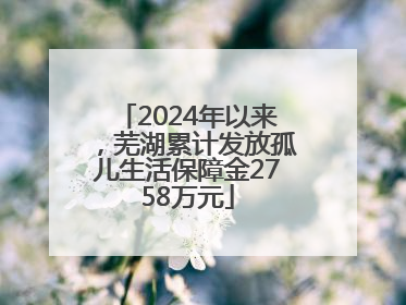 2024年以来，芜湖累计发放孤儿生活保障金2758万元