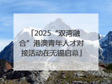 2025“双湾融合”港澳青年人才对接活动在无锡启幕