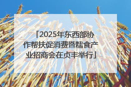 2025年东西部协作帮扶促消费暨糯食产业招商会在贞丰举行