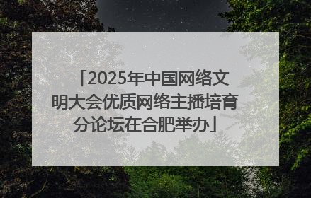 2025年中国网络文明大会优质网络主播培育分论坛在合肥举办