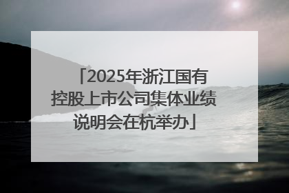 2025年浙江国有控股上市公司集体业绩说明会在杭举办