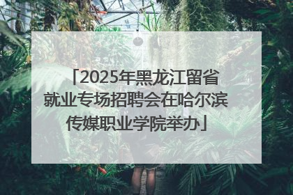 2025年黑龙江留省就业专场招聘会在哈尔滨传媒职业学院举办