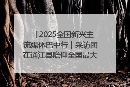 2025全国新兴主流媒体巴中行｜采访团在通江县瞻仰全国最大红军烈士陵园