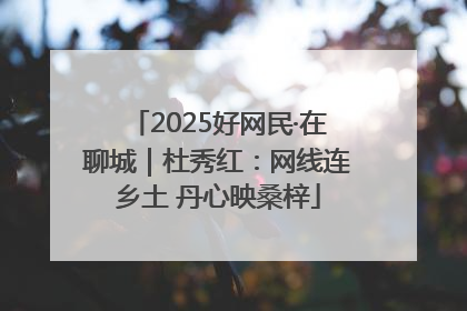 2025好网民·在聊城｜杜秀红：网线连乡土 丹心映桑梓