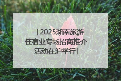 2025湖南旅游住宿业专场招商推介活动在沪举行