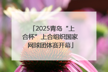 2025青岛“上合杯”上合组织国家网球团体赛开幕