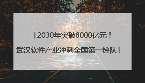 2030年突破8000亿元！武汉软件产业冲刺全国第一梯队