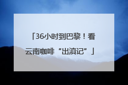 36小时到巴黎！看云南咖啡“出滇记”