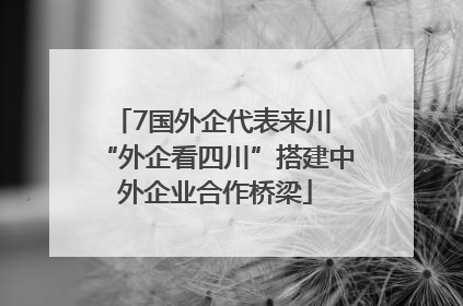 7国外企代表来川 “外企看四川”搭建中外企业合作桥梁