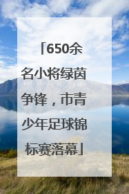 650余名小将绿茵争锋，市青少年足球锦标赛落幕