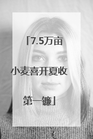 7.5万亩小麦喜开夏收第一镰