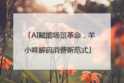 AI赋能场景革命，羊小咩解码消费新范式