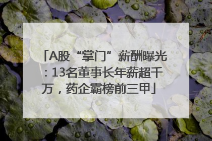 A股“掌门”薪酬曝光：13名董事长年薪超千万，药企霸榜前三甲